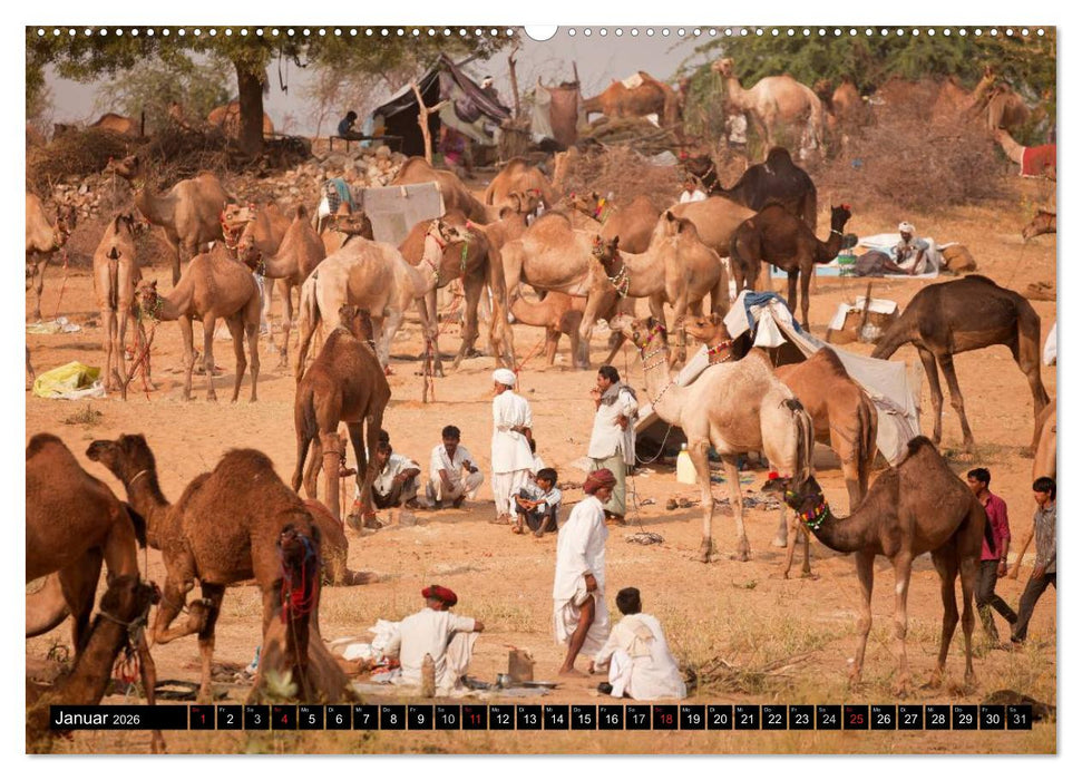 Rajasthan, Indien - Pushkar Mela (CALVENDO Premium Wandkalender 2026)