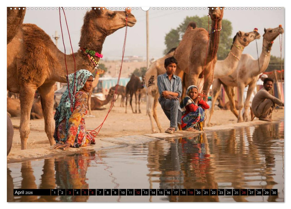 Rajasthan, Indien - Pushkar Mela (CALVENDO Premium Wandkalender 2026)