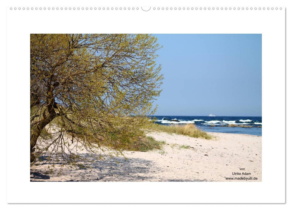 Sonneninsel Bornholm (CALVENDO Wandkalender 2026)