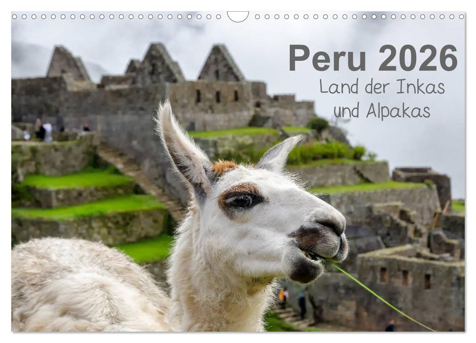 Peru - Land der Inkas und Alpakas (CALVENDO Wandkalender 2026)