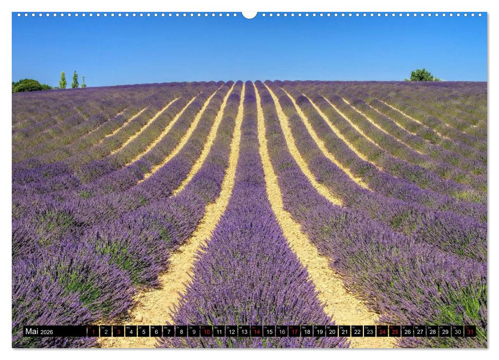 Verzaubernde Provence (CALVENDO Wandkalender 2026)