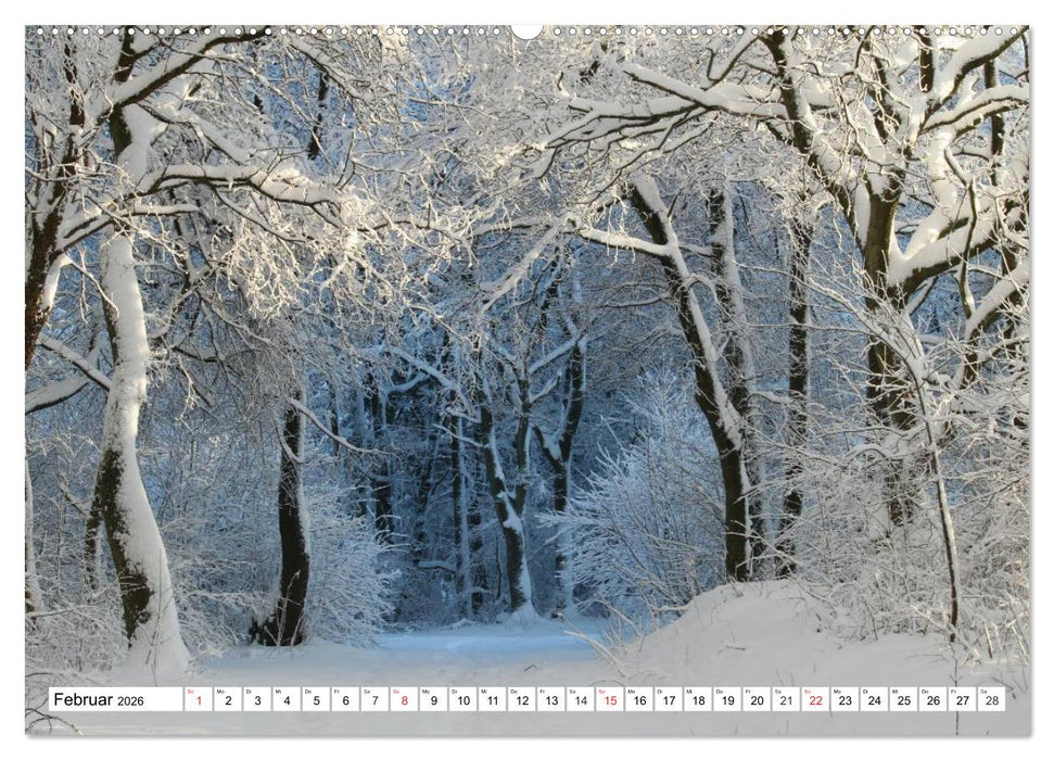 Wintermärchen Landschaften im Schnee (CALVENDO Wandkalender 2026)