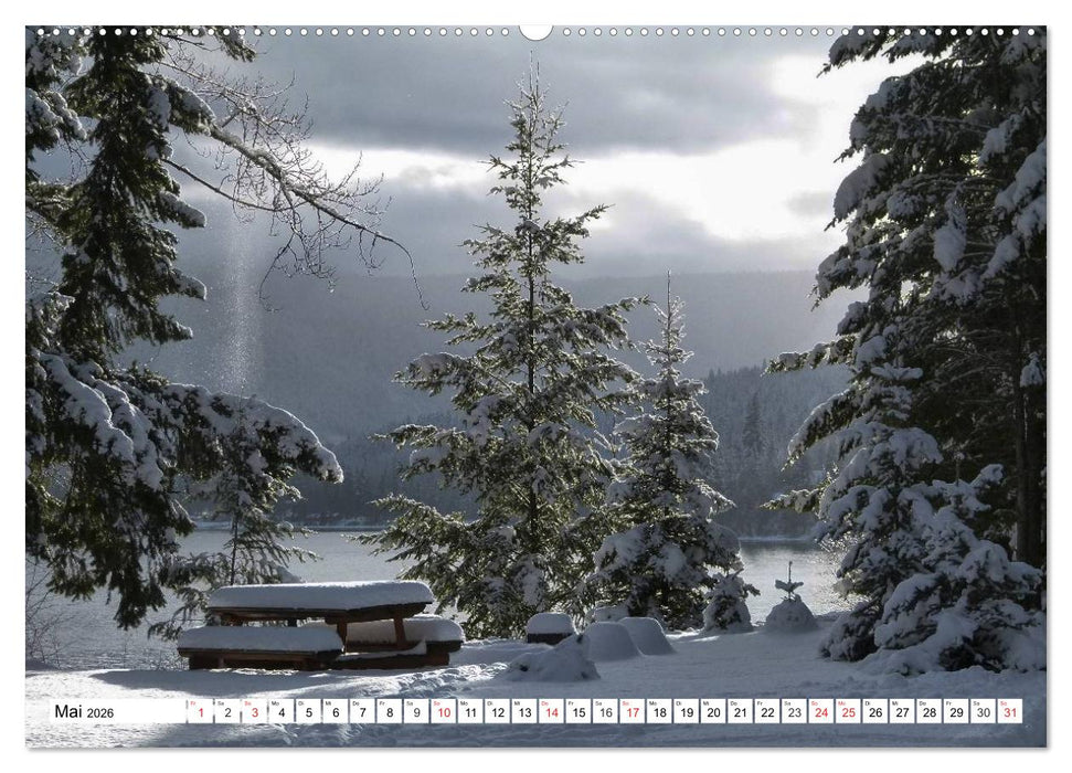 Wintermärchen Landschaften im Schnee (CALVENDO Wandkalender 2026)