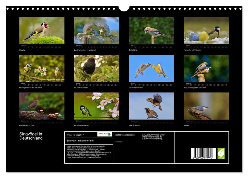 Singvögel in Deutschland (CALVENDO Wandkalender 2026)
