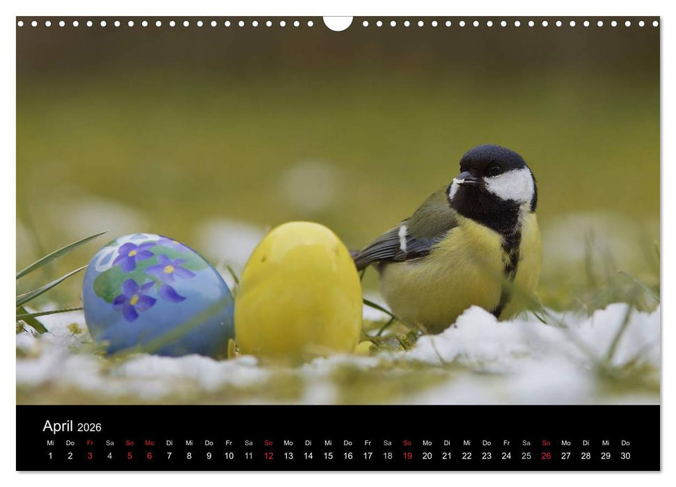 Singvögel in Deutschland (CALVENDO Wandkalender 2026)