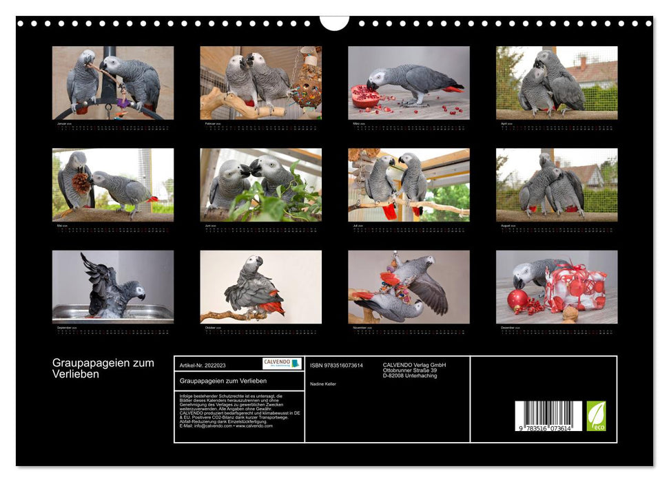 Graupapageien zum Verlieben (CALVENDO Wandkalender 2026)