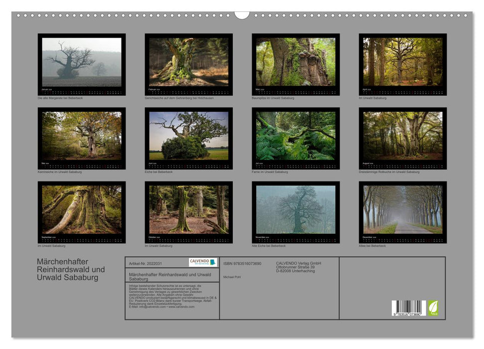 Märchenhafter Reinhardswald und Urwald Sababurg (CALVENDO Wandkalender 2026)