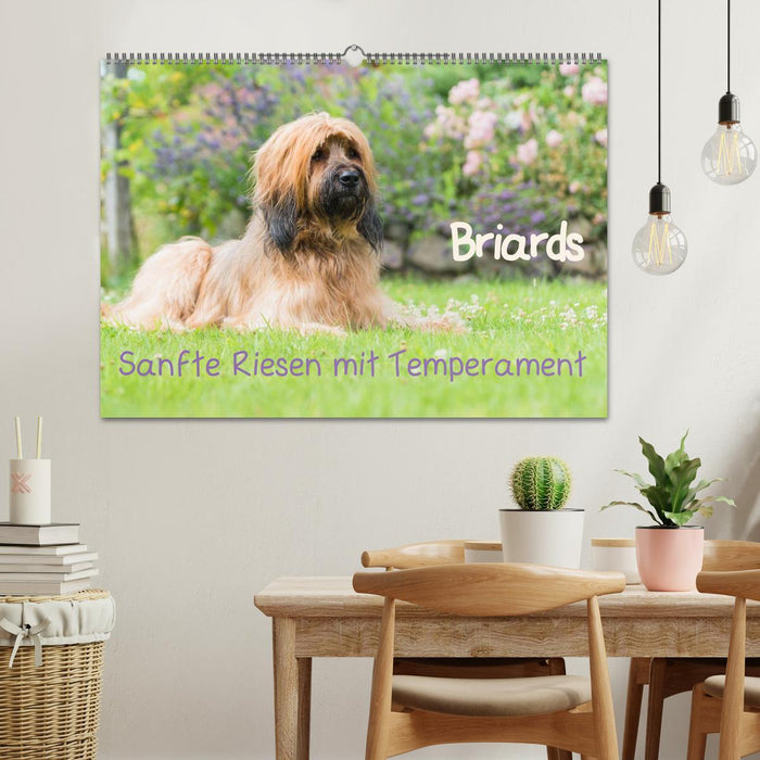 Briards - sanfte Riesen mit Temperament (CALVENDO Wandkalender 2026)