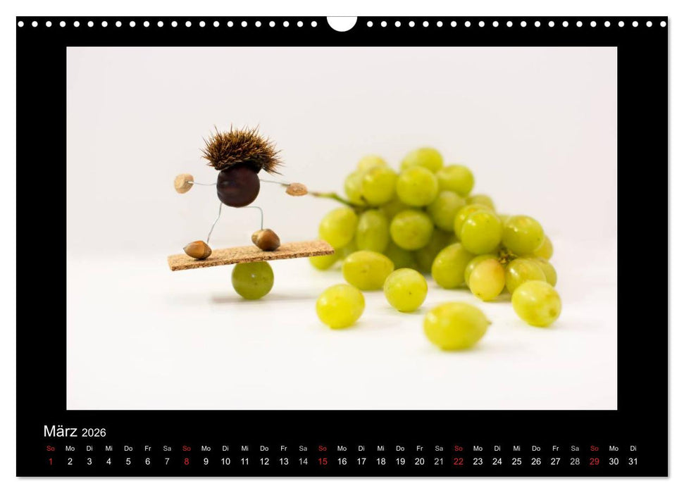 Abenteuer Küche (CALVENDO Wandkalender 2026)