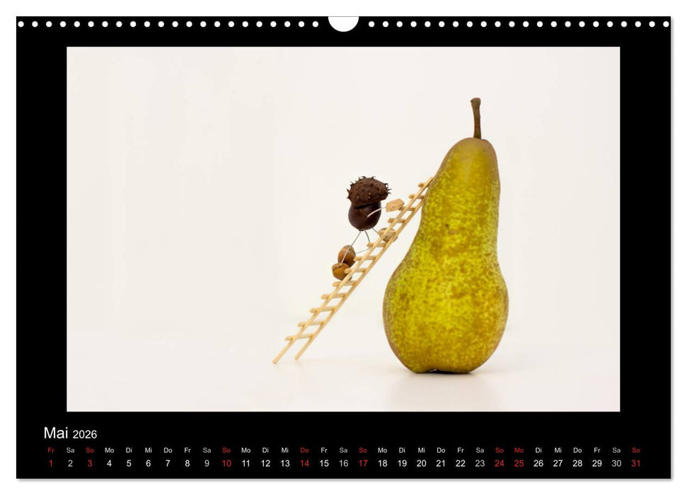 Abenteuer Küche (CALVENDO Wandkalender 2026)