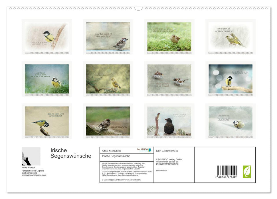Irische Segenswünsche (CALVENDO Premium Wandkalender 2026)