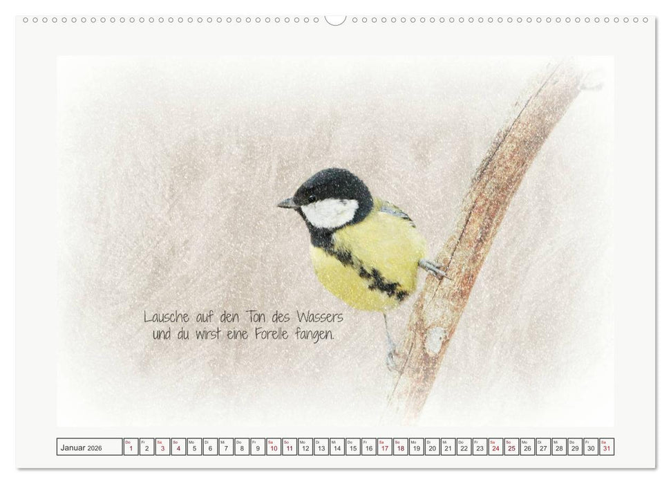 Irische Segenswünsche (CALVENDO Premium Wandkalender 2026)