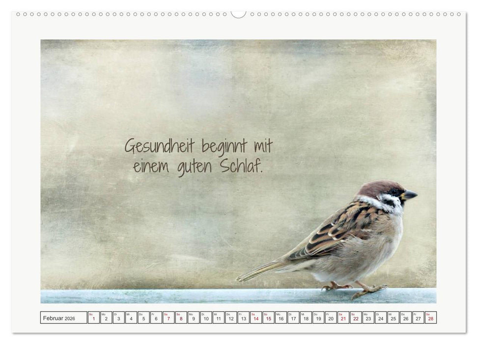 Irische Segenswünsche (CALVENDO Premium Wandkalender 2026)