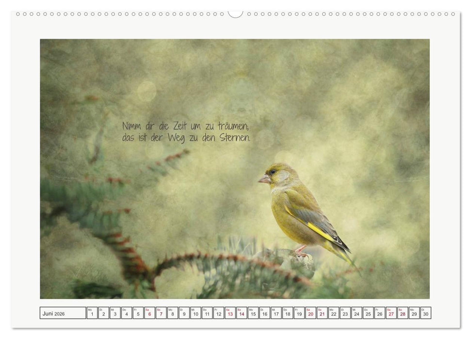 Irische Segenswünsche (CALVENDO Premium Wandkalender 2026)