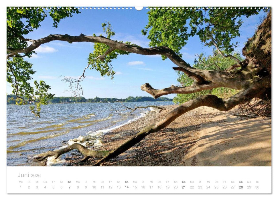 Zauberhafte Schlei (CALVENDO Premium Wandkalender 2026)