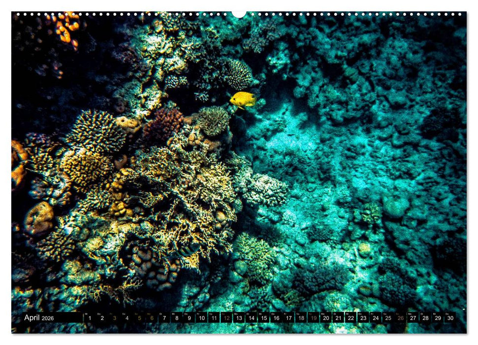 Mediterrane Ansichten 2026 (CALVENDO Premium Wandkalender 2026)