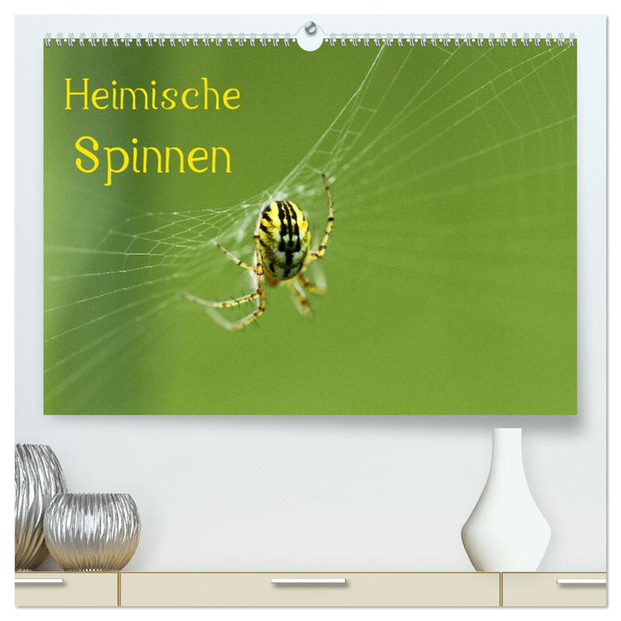 Heimische Spinnen (CALVENDO Premium Wandkalender 2026)