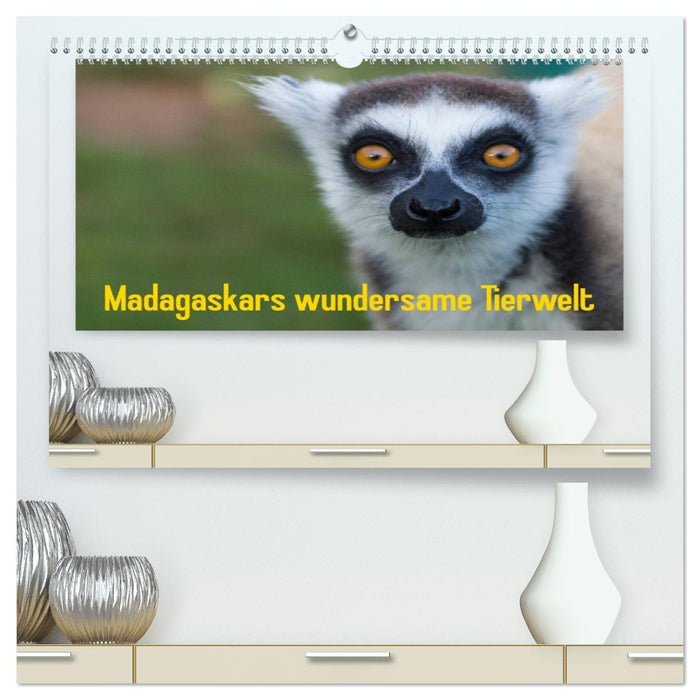 Madagaskars wundersame Tierwelt (CALVENDO Premium Wandkalender 2026)