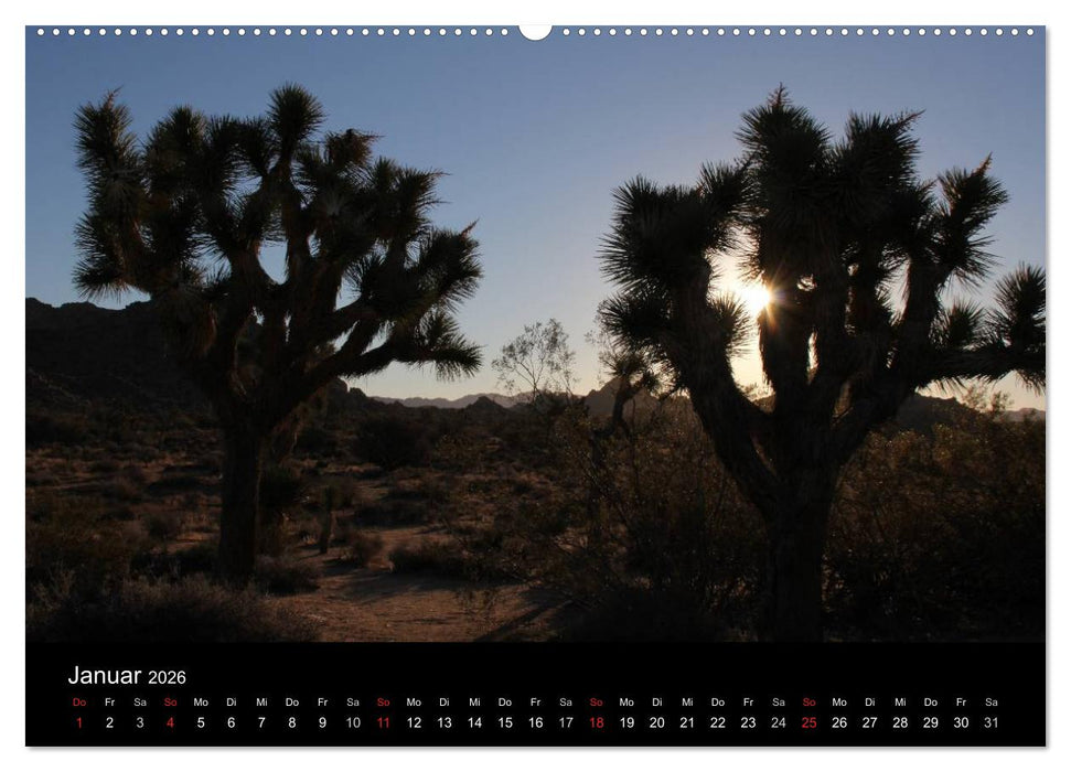 Kalifornien 2026 (CALVENDO Premium Wandkalender 2026)