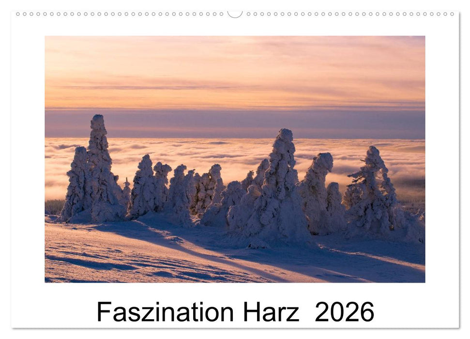 Faszination Harz 2026 (CALVENDO Wandkalender 2026)