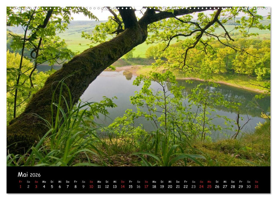 Faszination Harz 2026 (CALVENDO Wandkalender 2026)