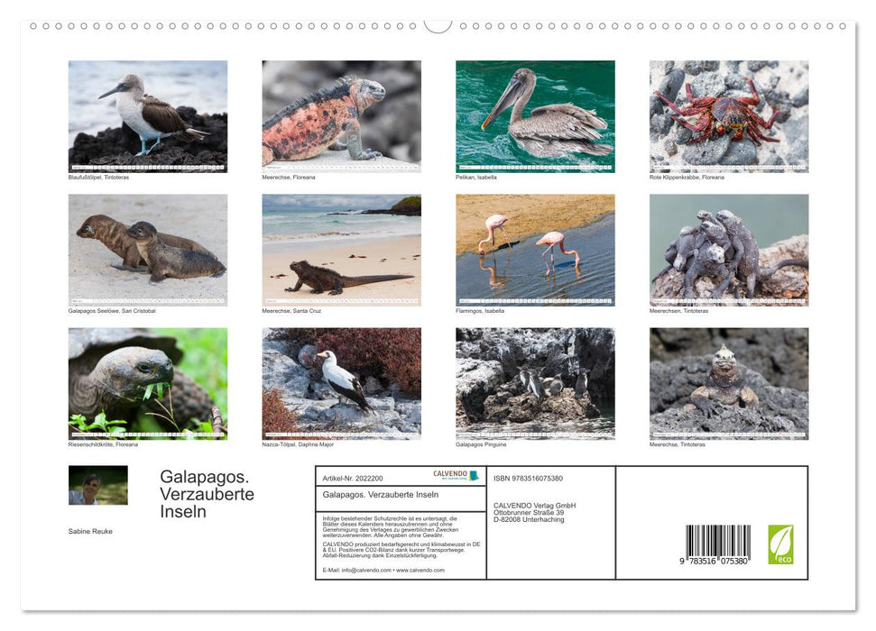 Galapagos. Verzauberte Inseln (CALVENDO Premium Wandkalender 2026)
