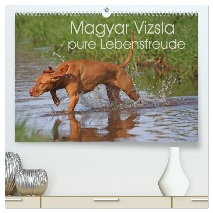 Magyar Vizsla - pure Lebensfreude (CALVENDO Premium Wandkalender 2026)