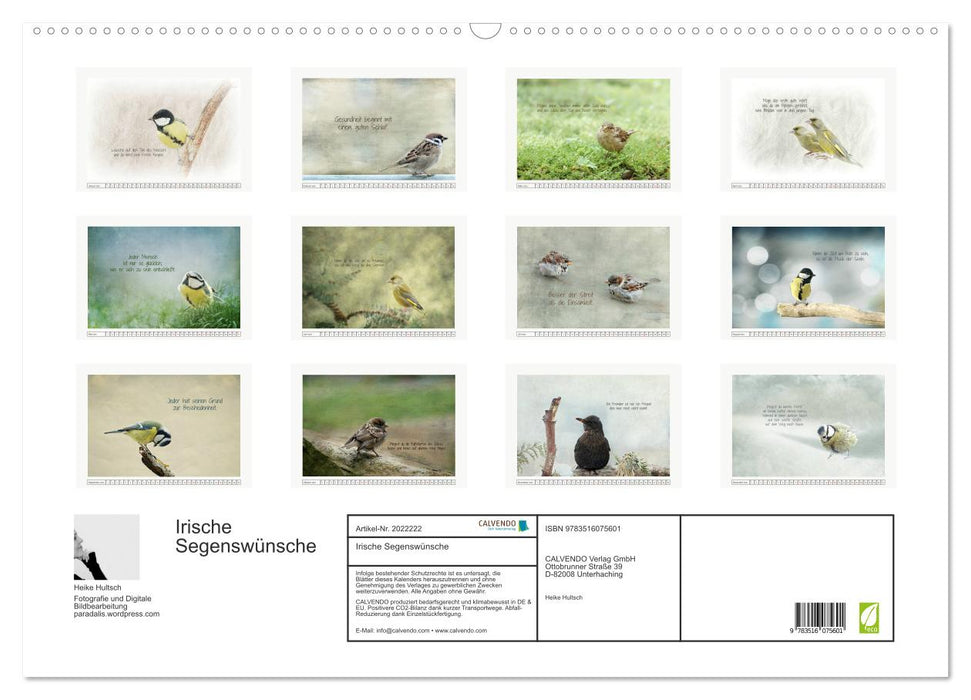 Irische Segenswünsche (CALVENDO Wandkalender 2026)