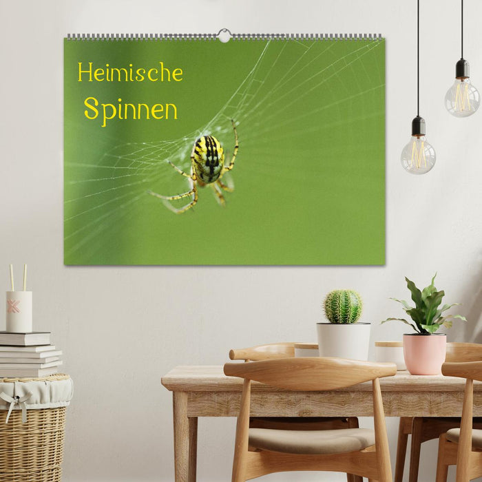Heimische Spinnen (CALVENDO Wandkalender 2026)
