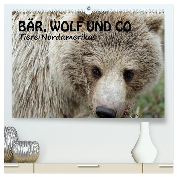 Bär, Wolf und Co - Tiere Nordamerikas (CALVENDO Premium Wandkalender 2026)
