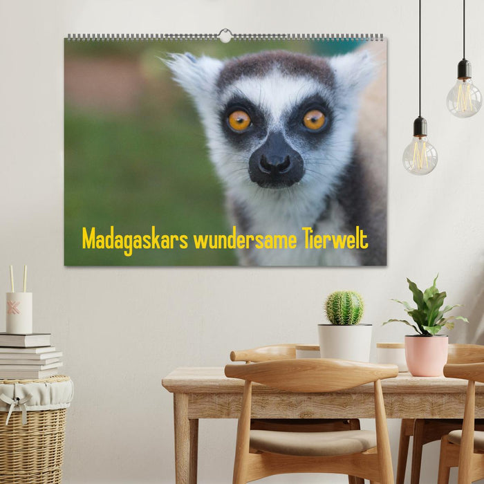 Madagaskars wundersame Tierwelt (CALVENDO Wandkalender 2026)
