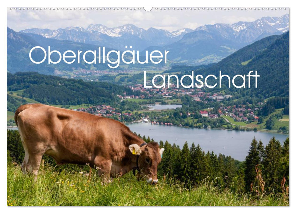 Oberallgäuer Landschaft (CALVENDO Wandkalender 2026)