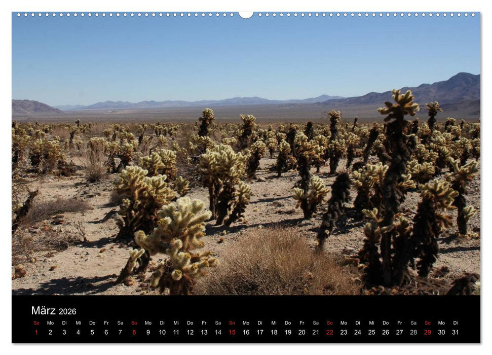 Kalifornien 2026 (CALVENDO Wandkalender 2026)