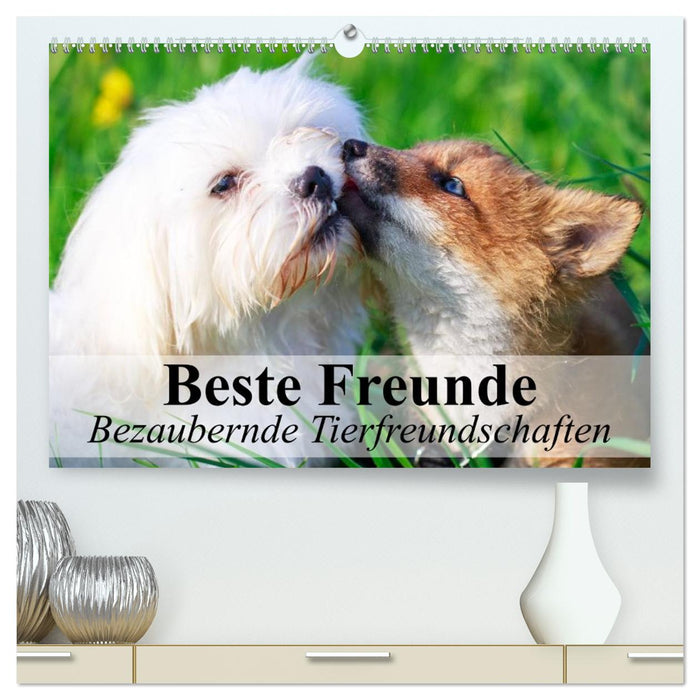 Beste Freunde - Bezaubernde Tierfreundschaften (CALVENDO Premium Wandkalender 2026)