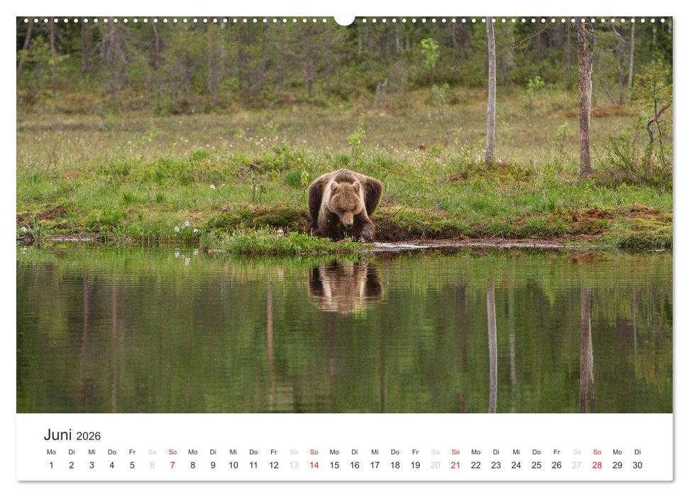Naturparadies Finnland (CALVENDO Premium Wandkalender 2026)