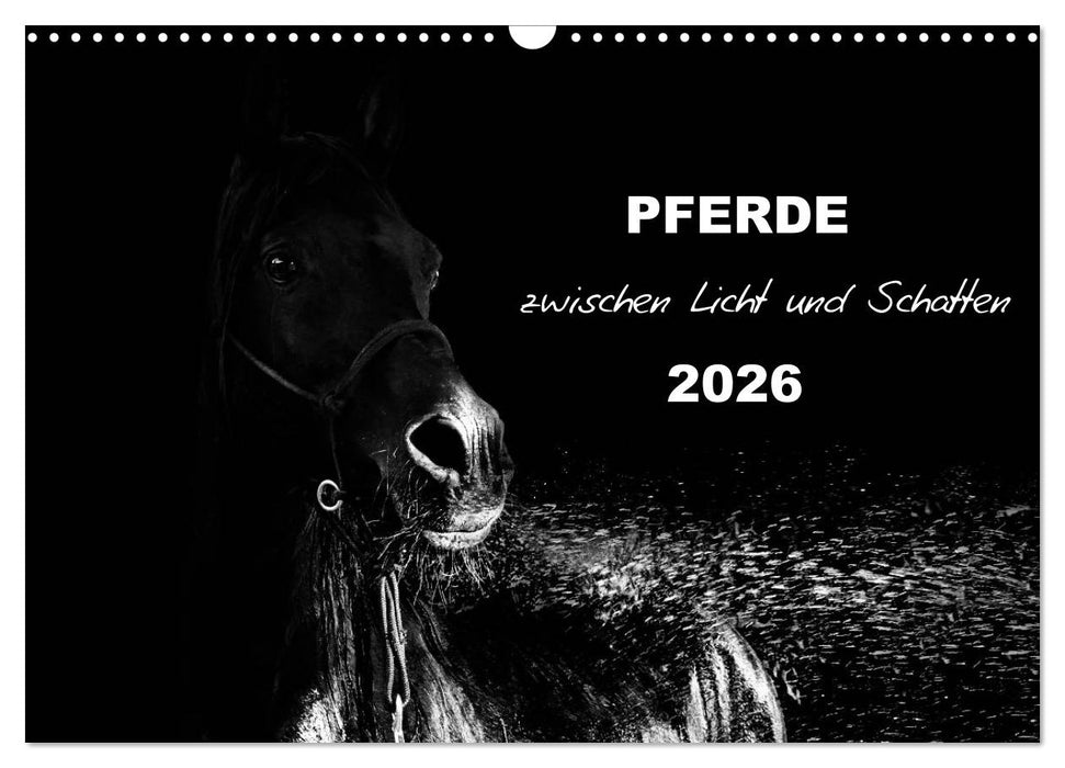 Pferde zwischen Licht und Schatten (CALVENDO Wandkalender 2026)