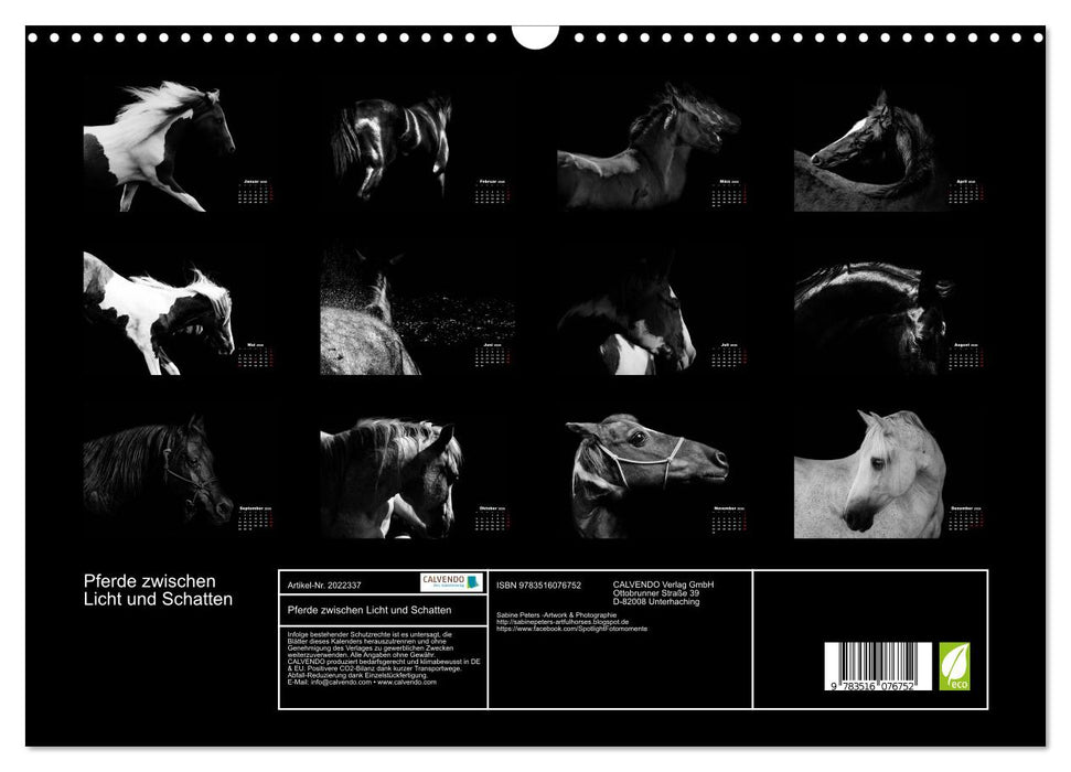 Pferde zwischen Licht und Schatten (CALVENDO Wandkalender 2026)