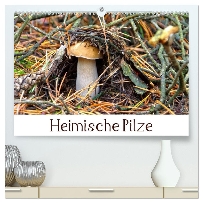Heimische Pilze (CALVENDO Premium Wandkalender 2026)