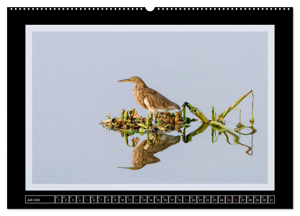 Kerala - Impressionen aus Südindien (CALVENDO Premium Wandkalender 2026)