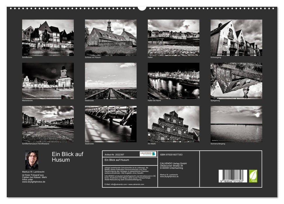 Ein Blick auf Husum (CALVENDO Premium Wandkalender 2026)