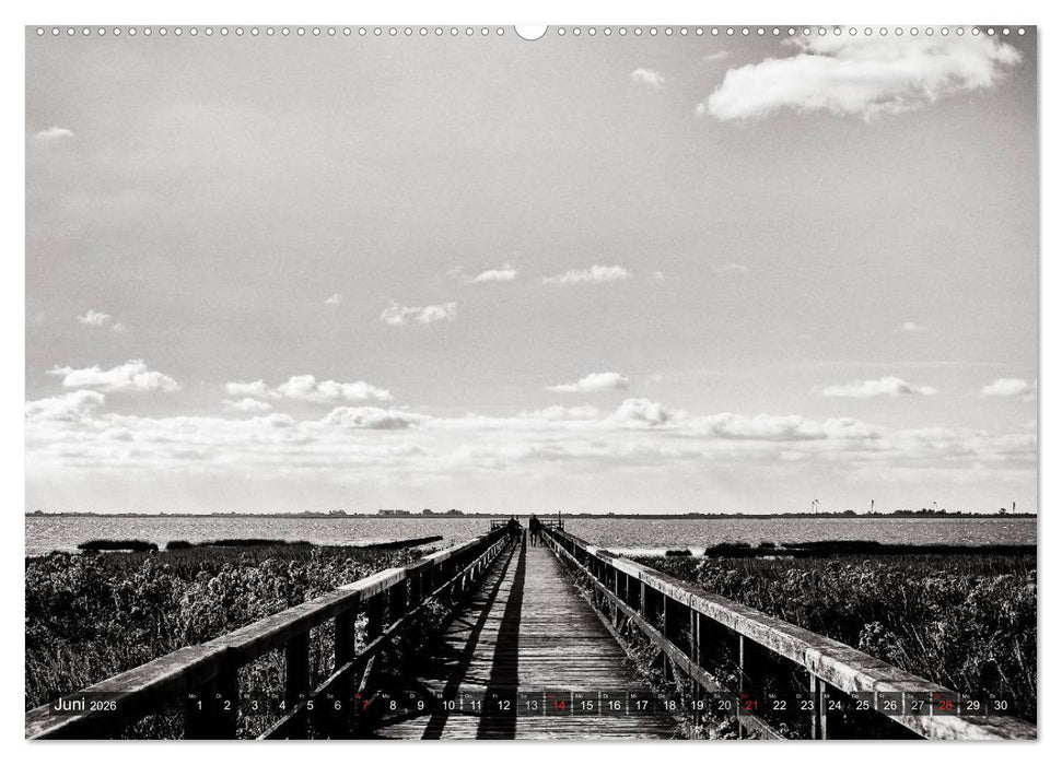 Ein Blick auf Husum (CALVENDO Premium Wandkalender 2026)