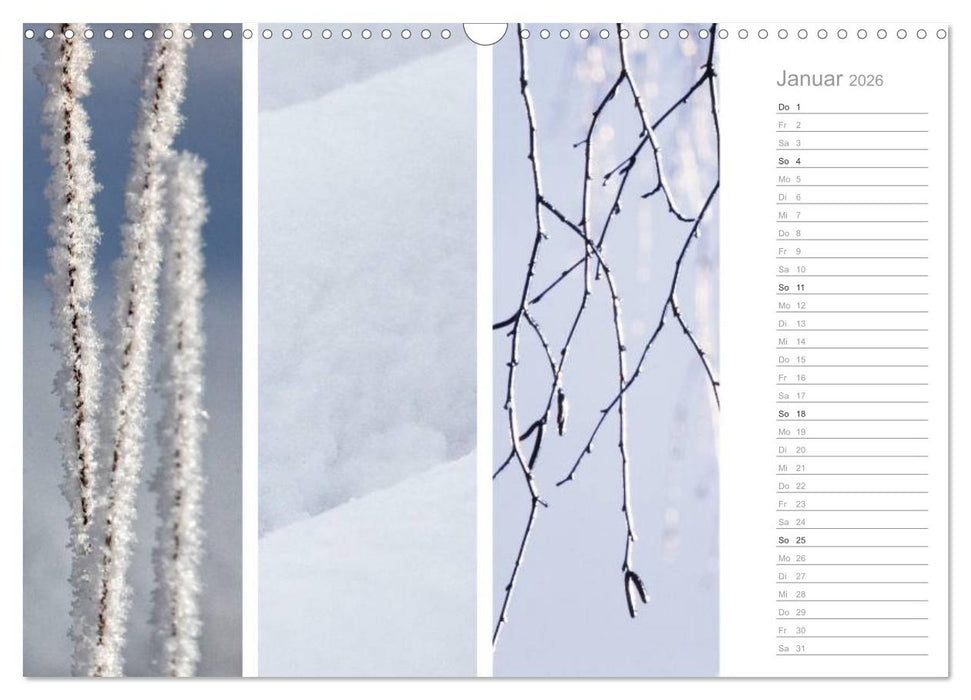 Natürlicher Dreiklang (CALVENDO Wandkalender 2026)