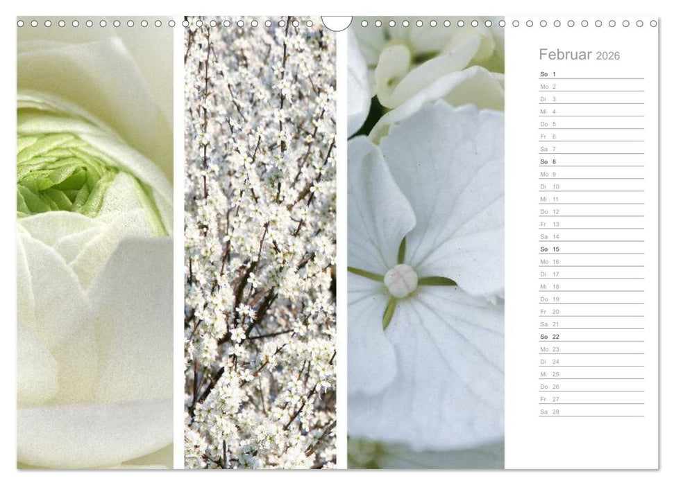 Natürlicher Dreiklang (CALVENDO Wandkalender 2026)