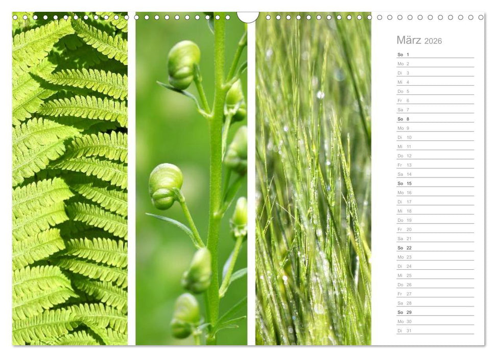 Natürlicher Dreiklang (CALVENDO Wandkalender 2026)