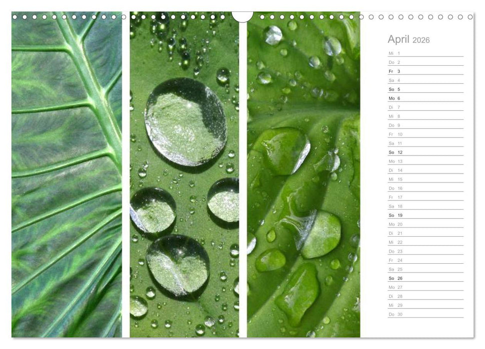 Natürlicher Dreiklang (CALVENDO Wandkalender 2026)