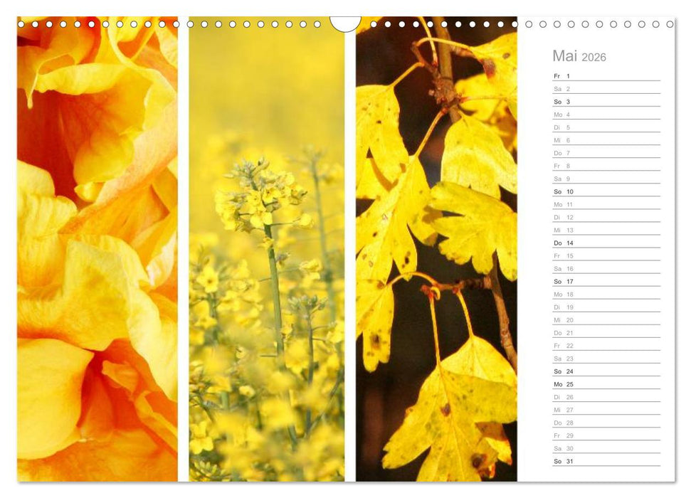 Natürlicher Dreiklang (CALVENDO Wandkalender 2026)