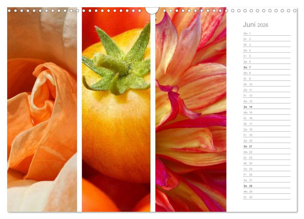 Natürlicher Dreiklang (CALVENDO Wandkalender 2026)