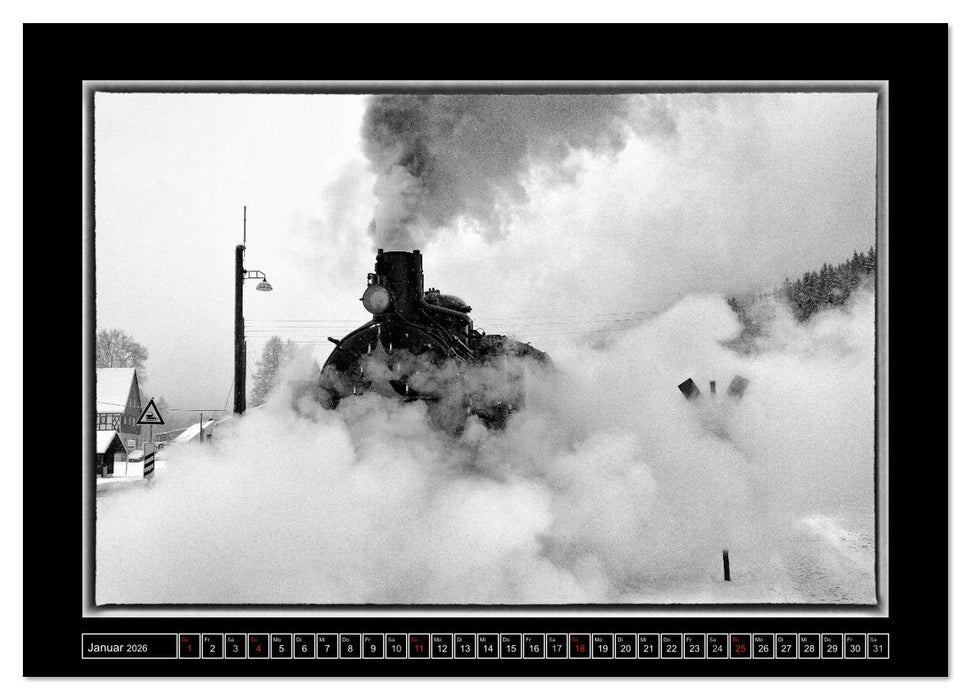 Die Preßnitztalbahn (CALVENDO Premium Wandkalender 2026)