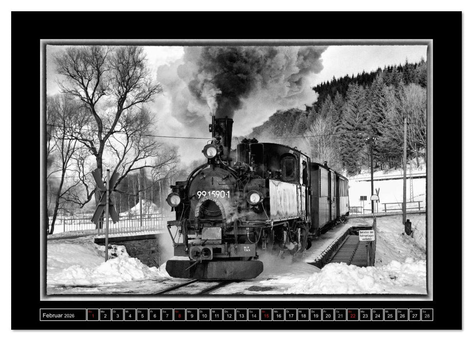 Die Preßnitztalbahn (CALVENDO Premium Wandkalender 2026)