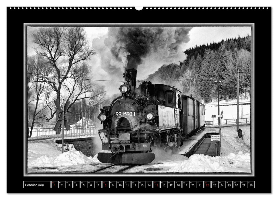 Die Preßnitztalbahn (CALVENDO Premium Wandkalender 2026)